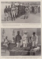 The Nile Expedition